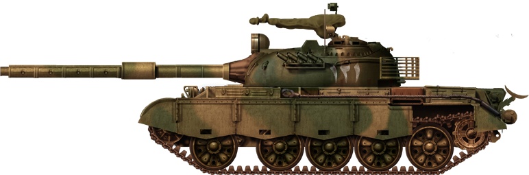 Pakistani Type 79