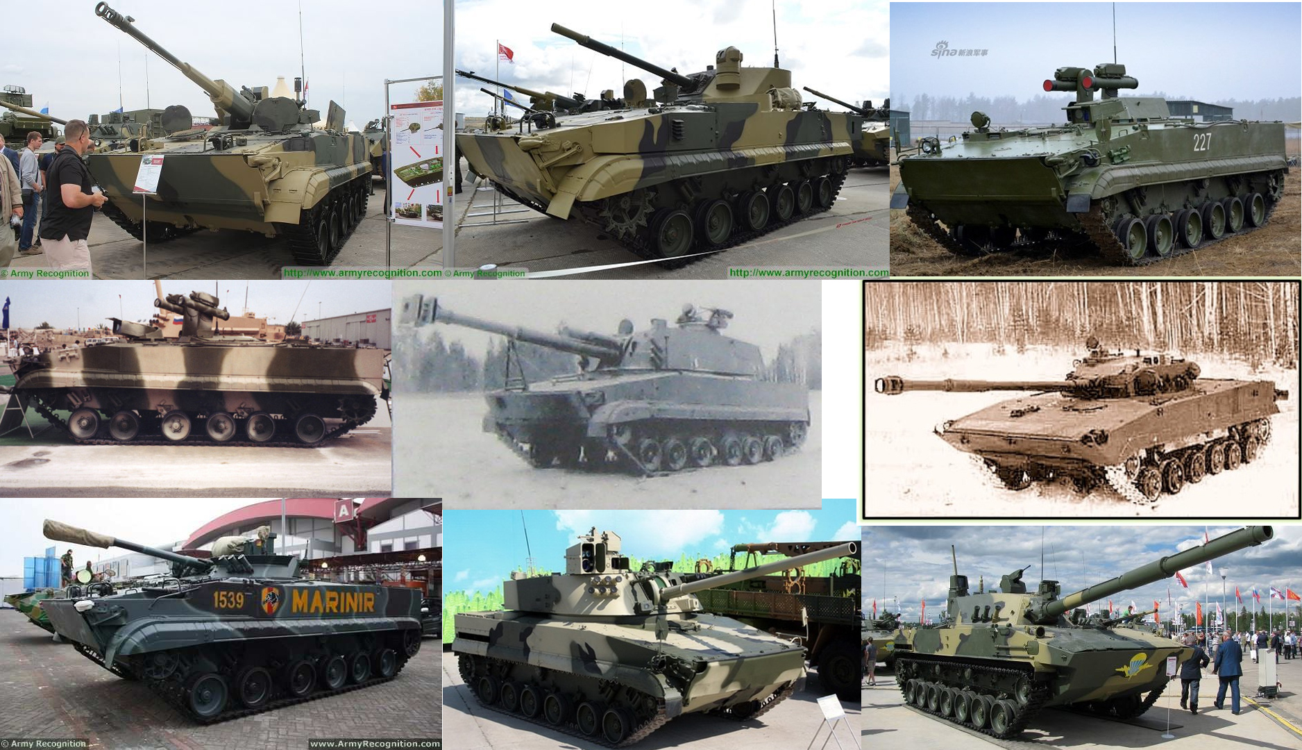 variants BMP-3