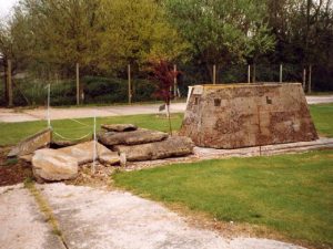 Bison at Lincolnshire