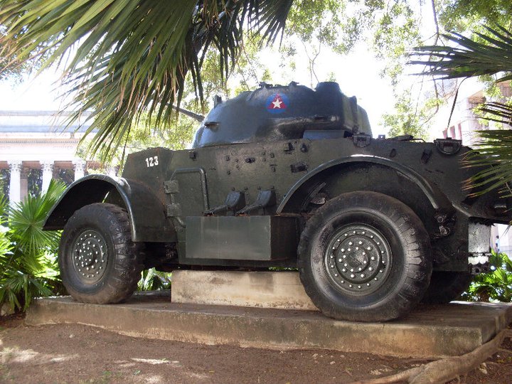 cuban staghound