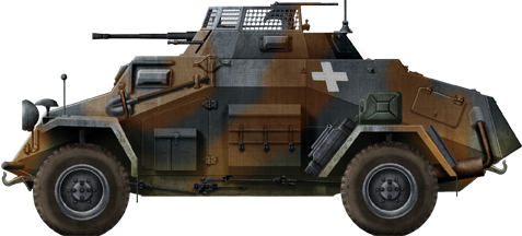 Sd.Kfz.222 in Poland